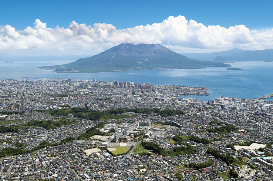 平成26年3月　撮影